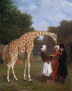 Jacques-Laurent Agasse The Nuian Giraffe (mk25) china oil painting reproduction